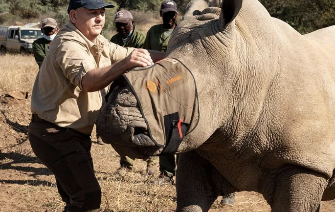 22 Things You Probably Didn’t Know AI Could Do