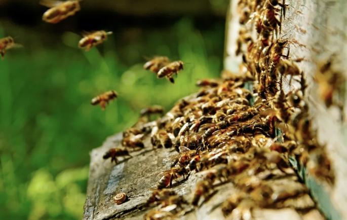 22 Things You Probably Didn’t Know AI Could Do