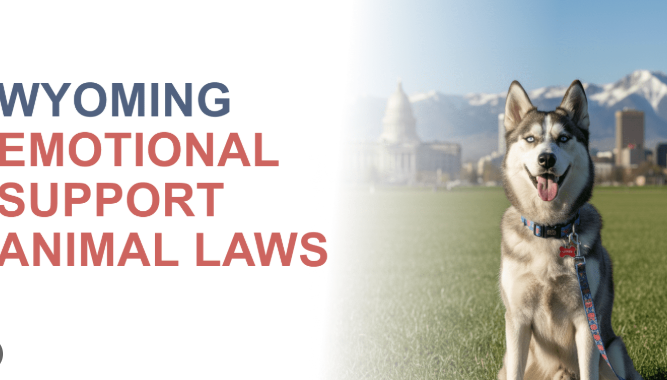 Banned Dog Breeds In Each State